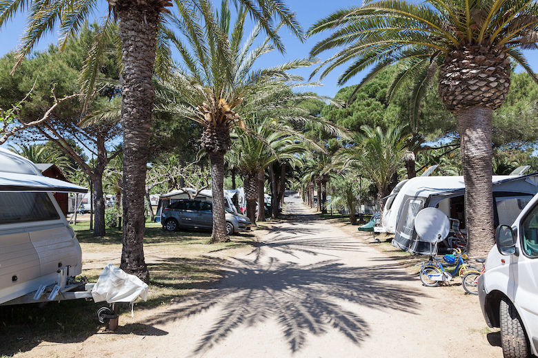 Campen unter Palmen: In Andalusien kein Problem.