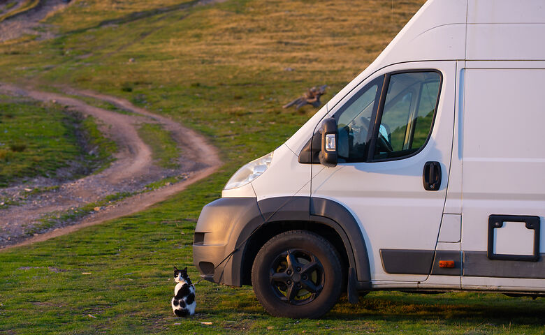 Katze mit Leine am Wohnmobil
