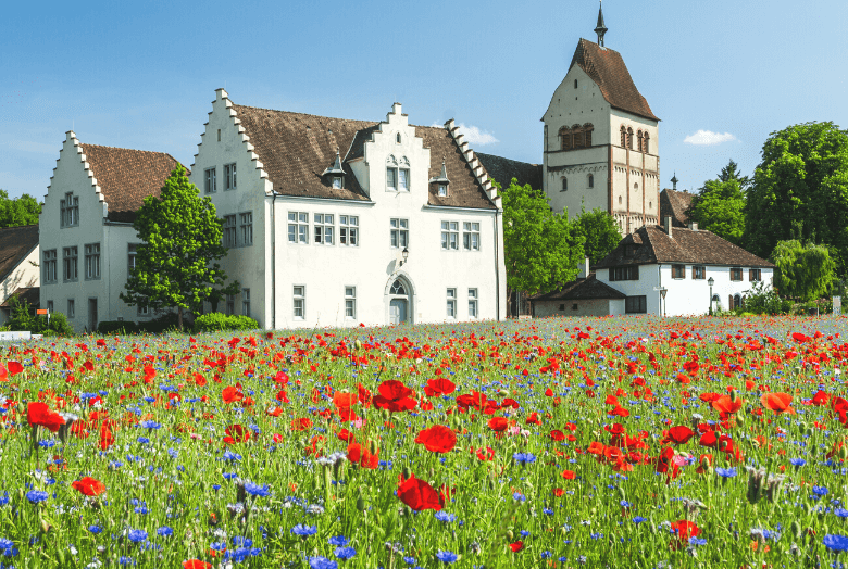 Klosterinsel Reichenau