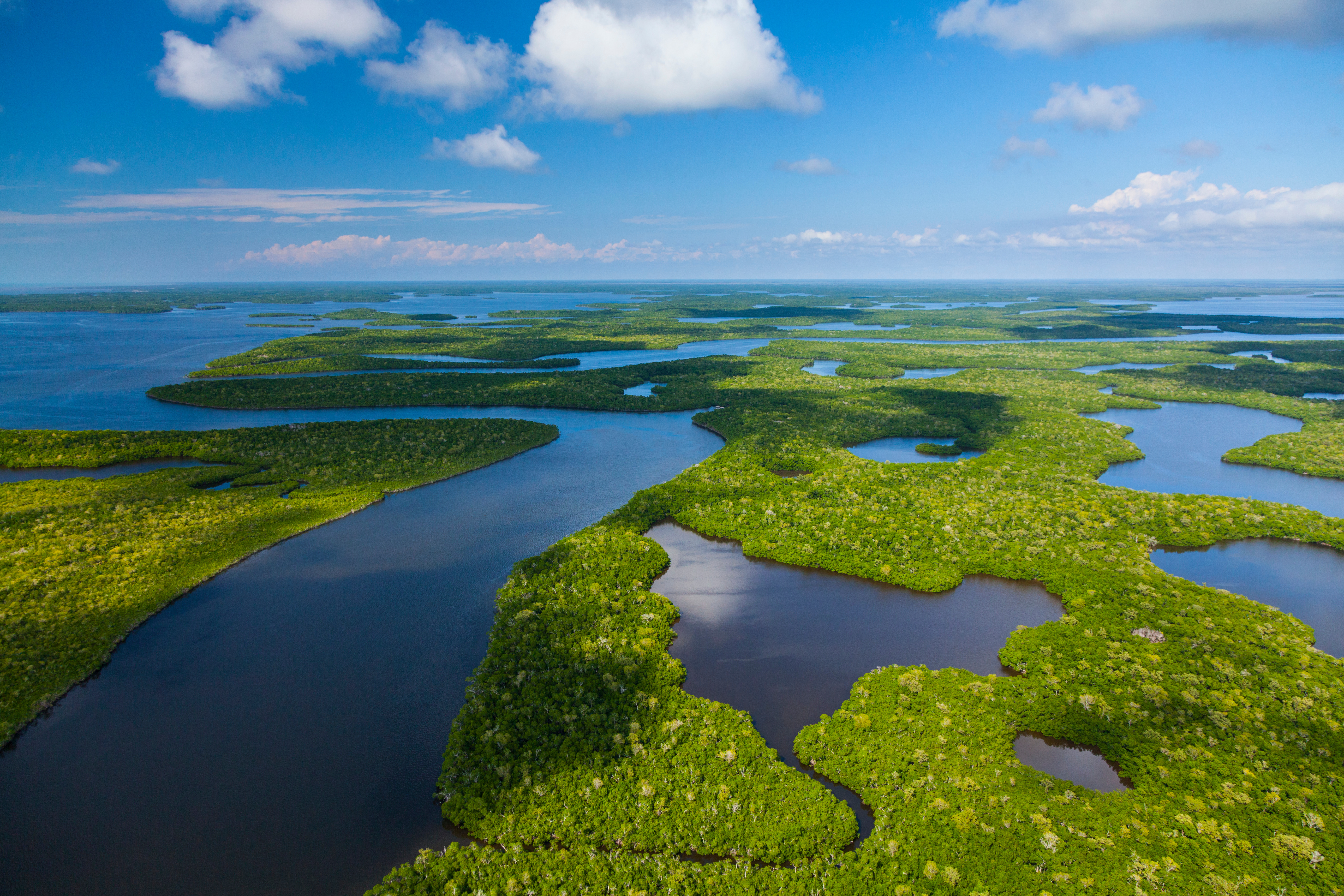 Blick auf die Everglades in Florida 