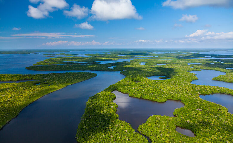 Blick auf die Everglades in Florida