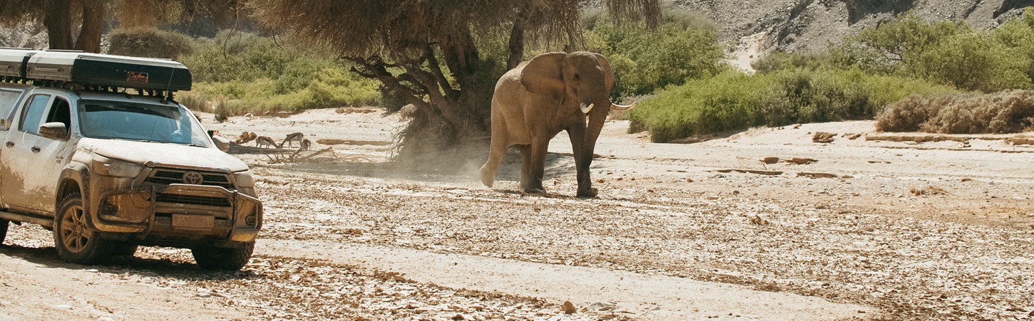 Die beste Reisezeit in Namibia: Wann ist der perfekte Zeitpunkt für einen Camper-Trip?