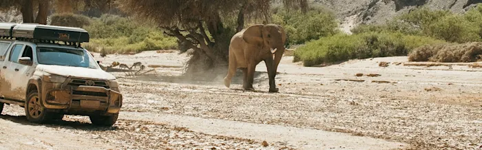 Die beste Reisezeit in Namibia: Wann ist der perfekte Zeitpunkt für einen Camper-Trip?