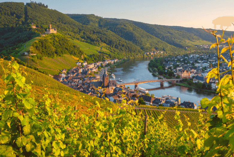 Bernkastel-Kues: das Zentrum der Region