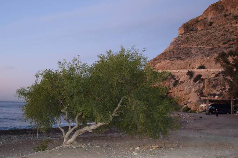 Camping in Andalsuien an einem Strand