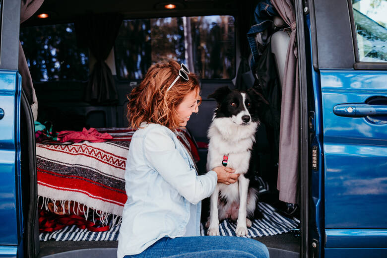 Perro en autocaravana