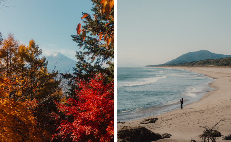 Autumn Leaves and Beach in Japan