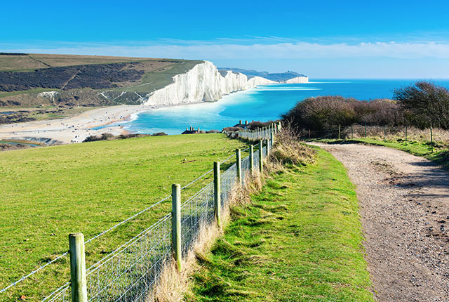 South Downs National park, East Sussex, England.