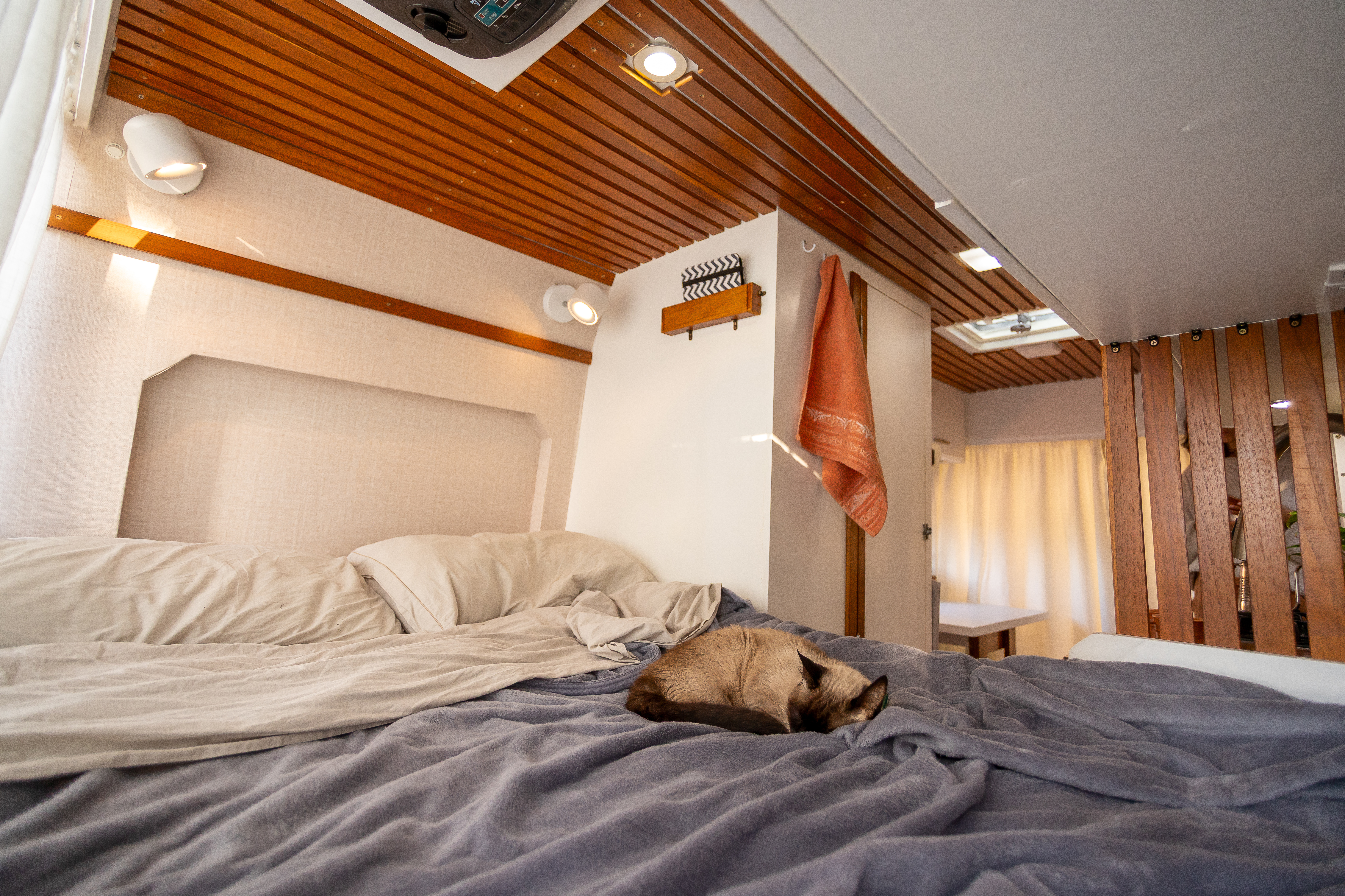 Katze schläft im Wohnmobil auf dem Bett