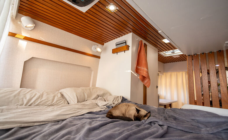 Katze schläft im Wohnmobil auf dem Bett