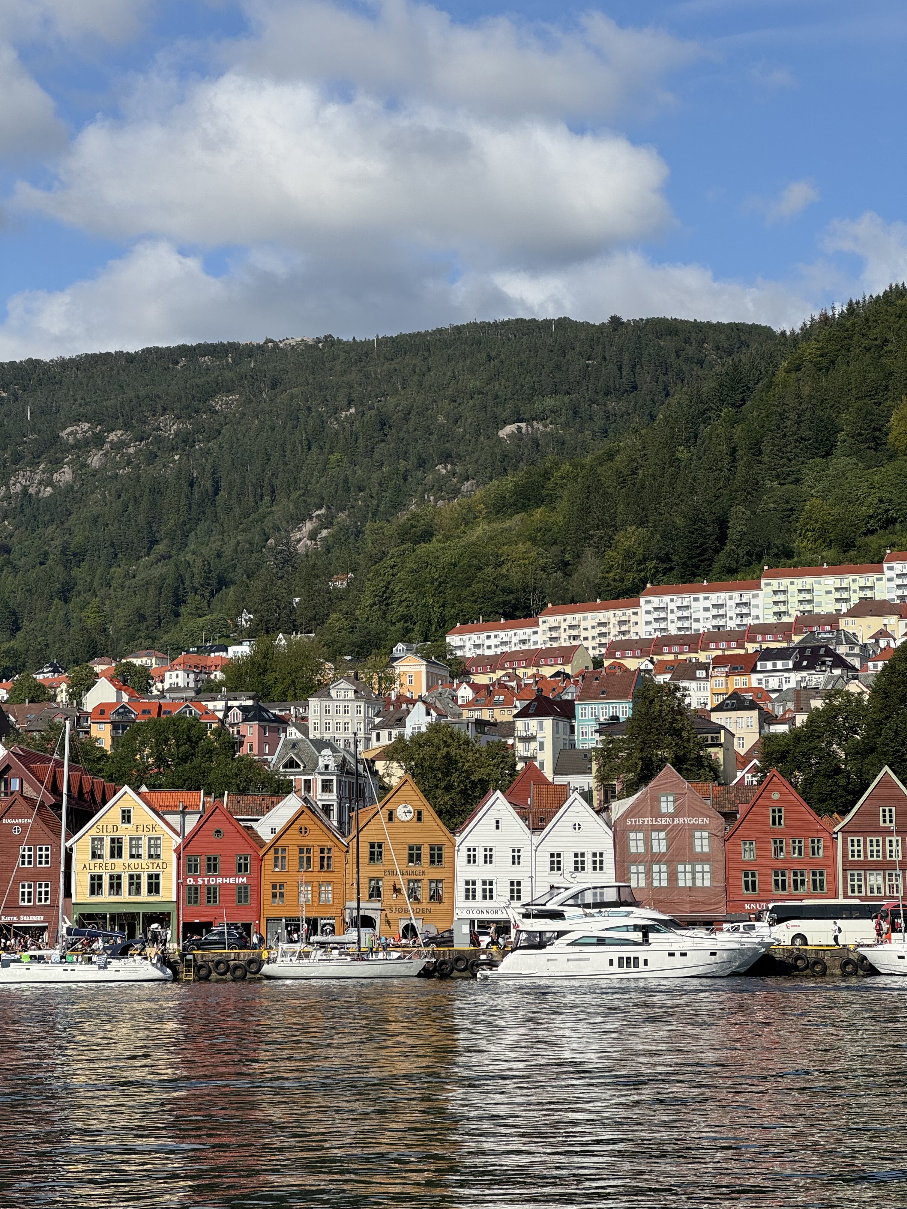 Bunte Häuser in Bergen, Norwegen