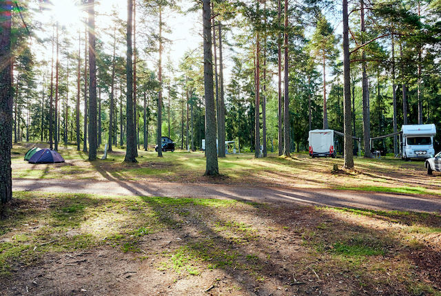 Caravan kampeervakantie in Zweden in het bos