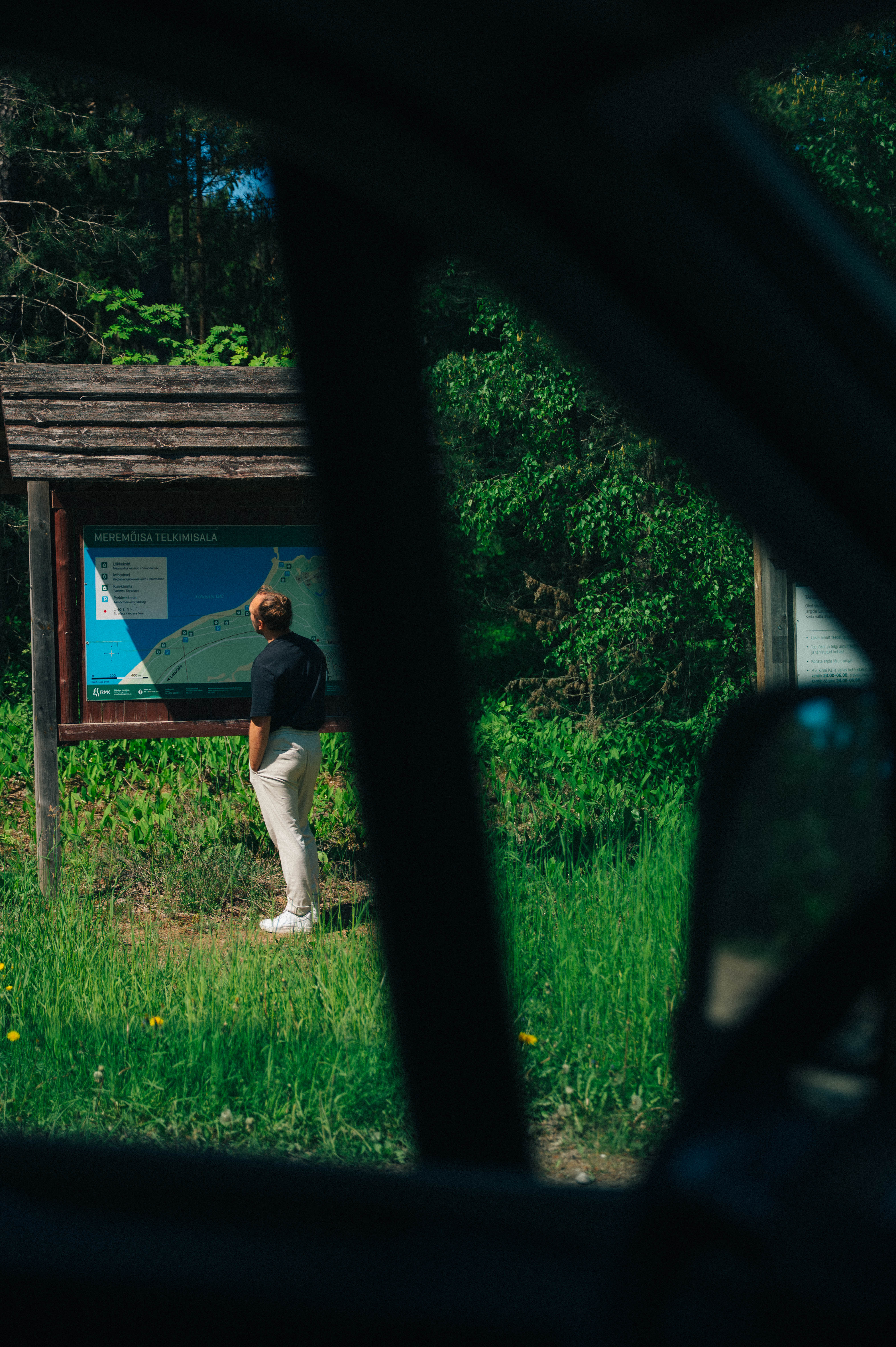 Mann schaut auf eine Informationstafel in einem Nationalpark in Estland 