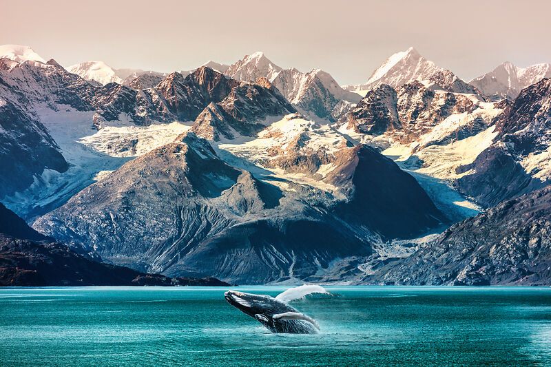 Alaska whale watching boat excursion. Inside passage mountain range landscape.