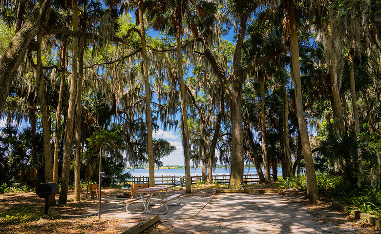 Campingplatz in Florida direkt am Wasser und unter Bäumen