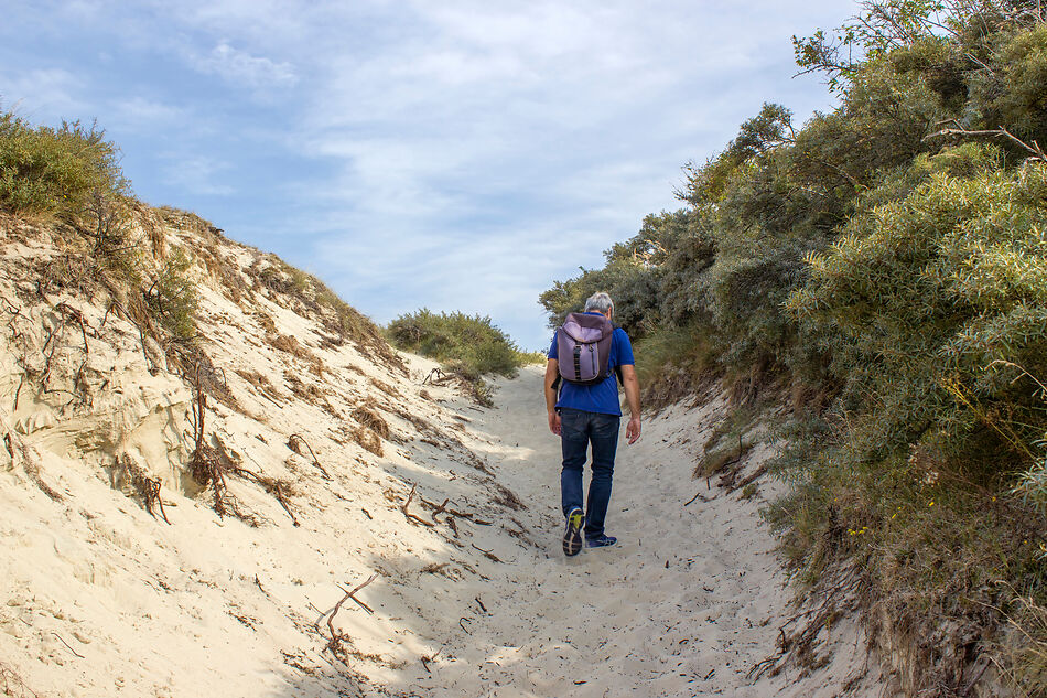 Activiteiten in Zeeland: man wandelt door de duinen aan de Zeeuwse kust.