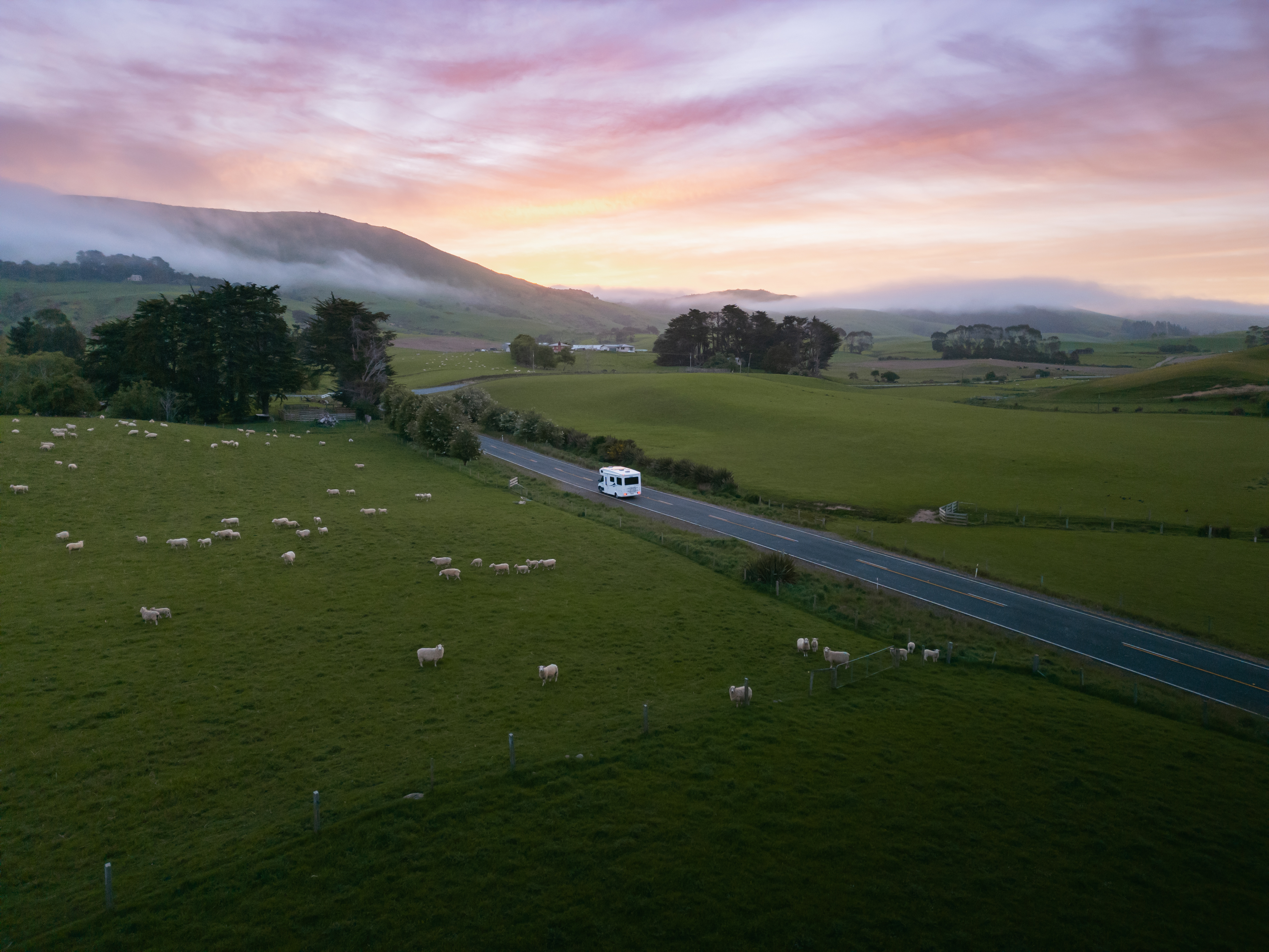 Wohnmobil auf einer Wiese mit Schafen in Neuseeland 