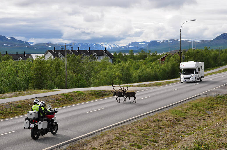 Wohnmobil, Motorrad und Rentiere auf einer Straße in Finnland