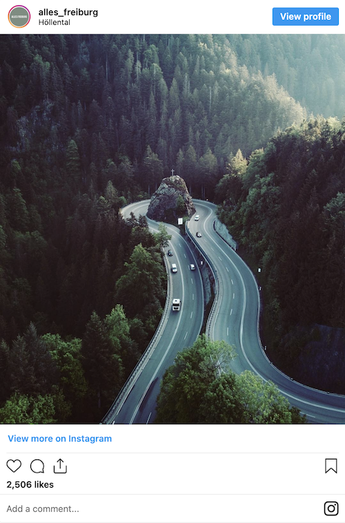 Der Schwarzwald, zu dem unter anderem die Kreuzfelsenkurve zählt.