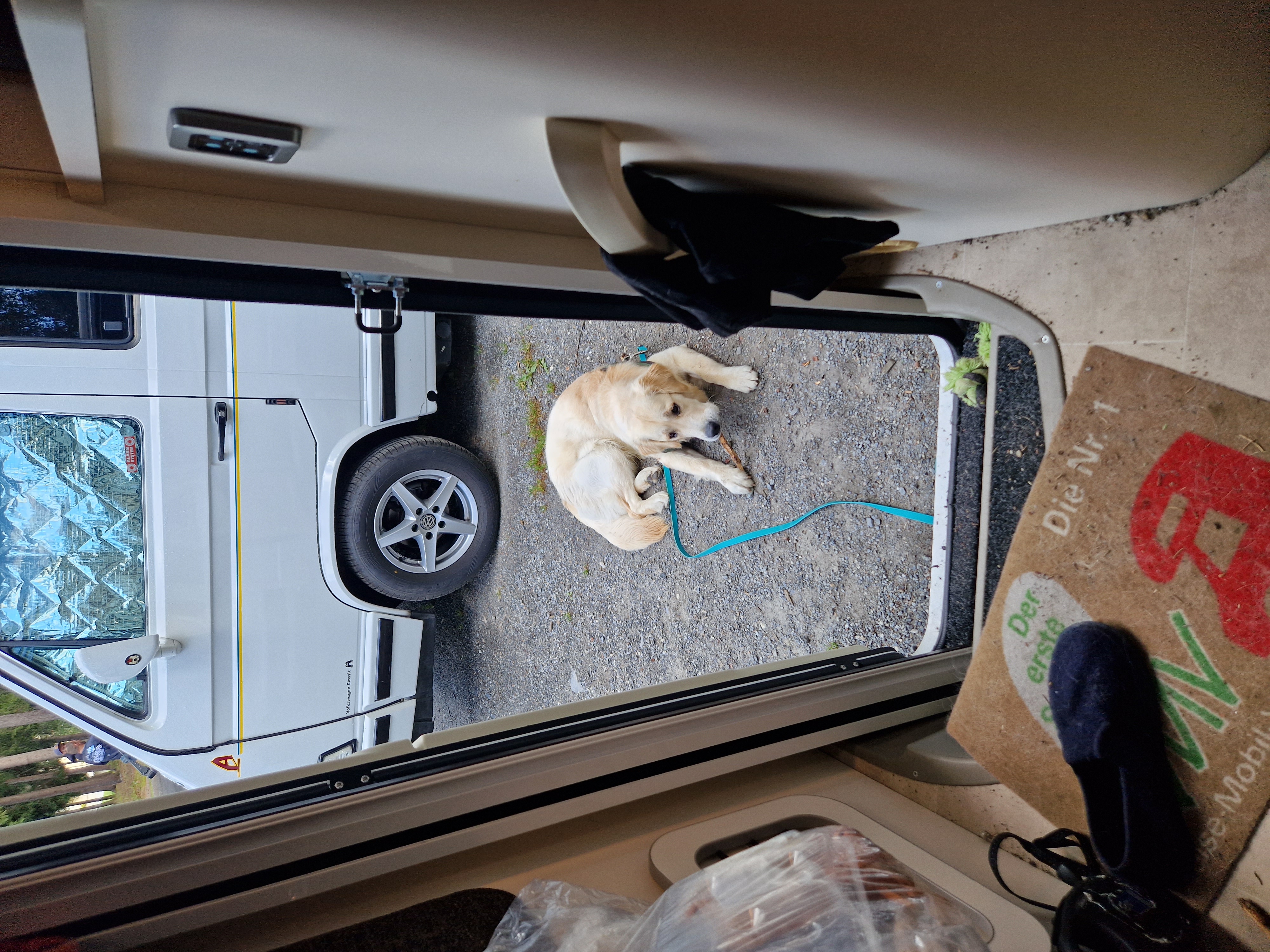 Camping mit Hund in der Schweiz