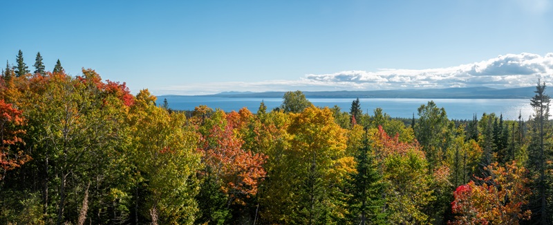Bunte Bäume in Kanada, Berge und das Meer