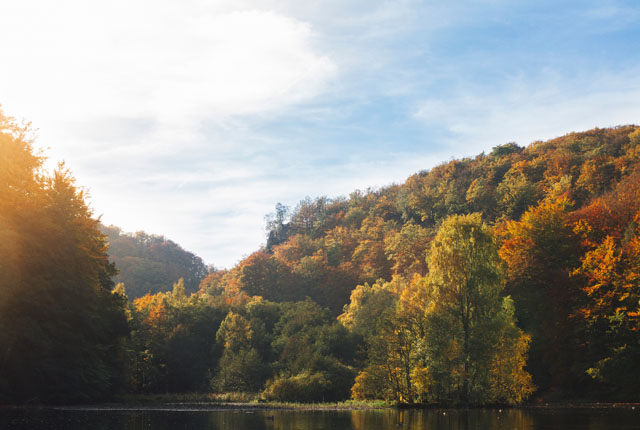 L'automne dans le parc national de Southåsens