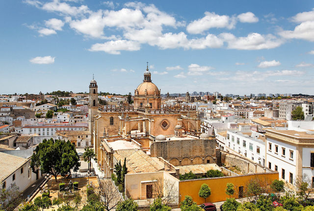 View of Jerez de la Frontera with cathedral, Spain