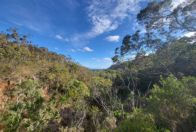 Belair national park in Adelaide