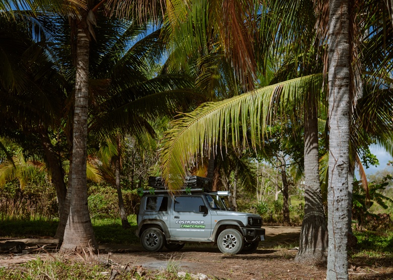 Campervan unter Palmen am Strand in Costa Rica