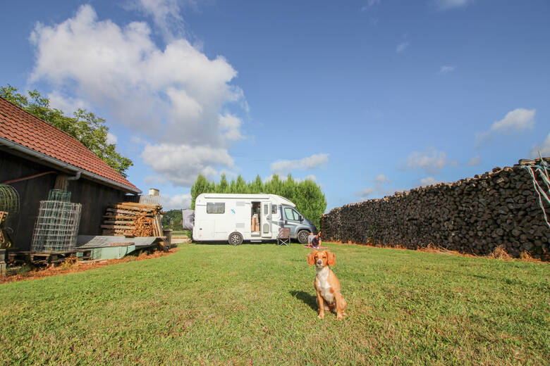 Wohnmobil und Hund auf dem Bauenhof