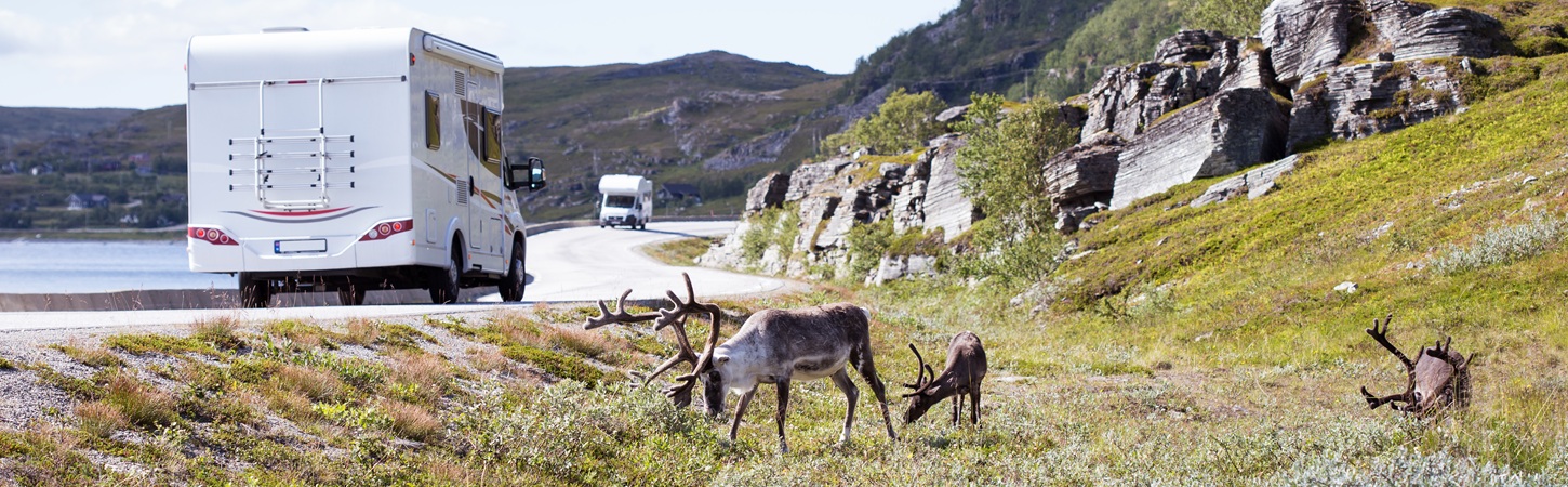 Mit dem Wohnmobil zum Nordkap: Diese Route ist perfekt für 3 Wochen