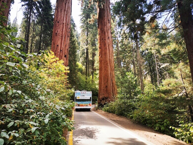 Sequoia National Park mit dem Wohnmobil