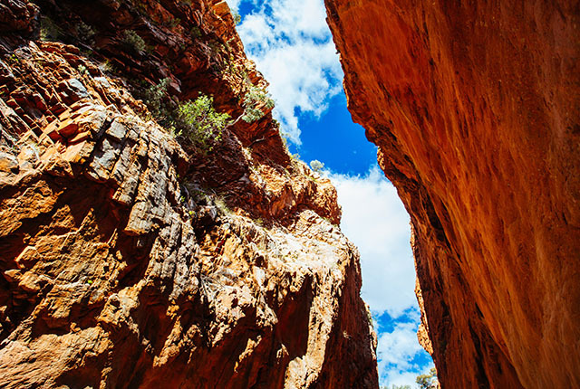 Standley Chasm near Alice Springs in Australia