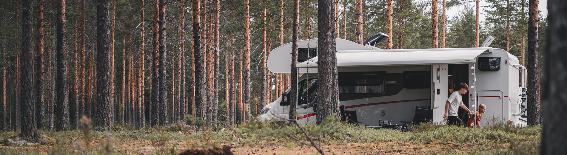 Wildcampen in Deutschland: Ist Freistehen erlaubt?