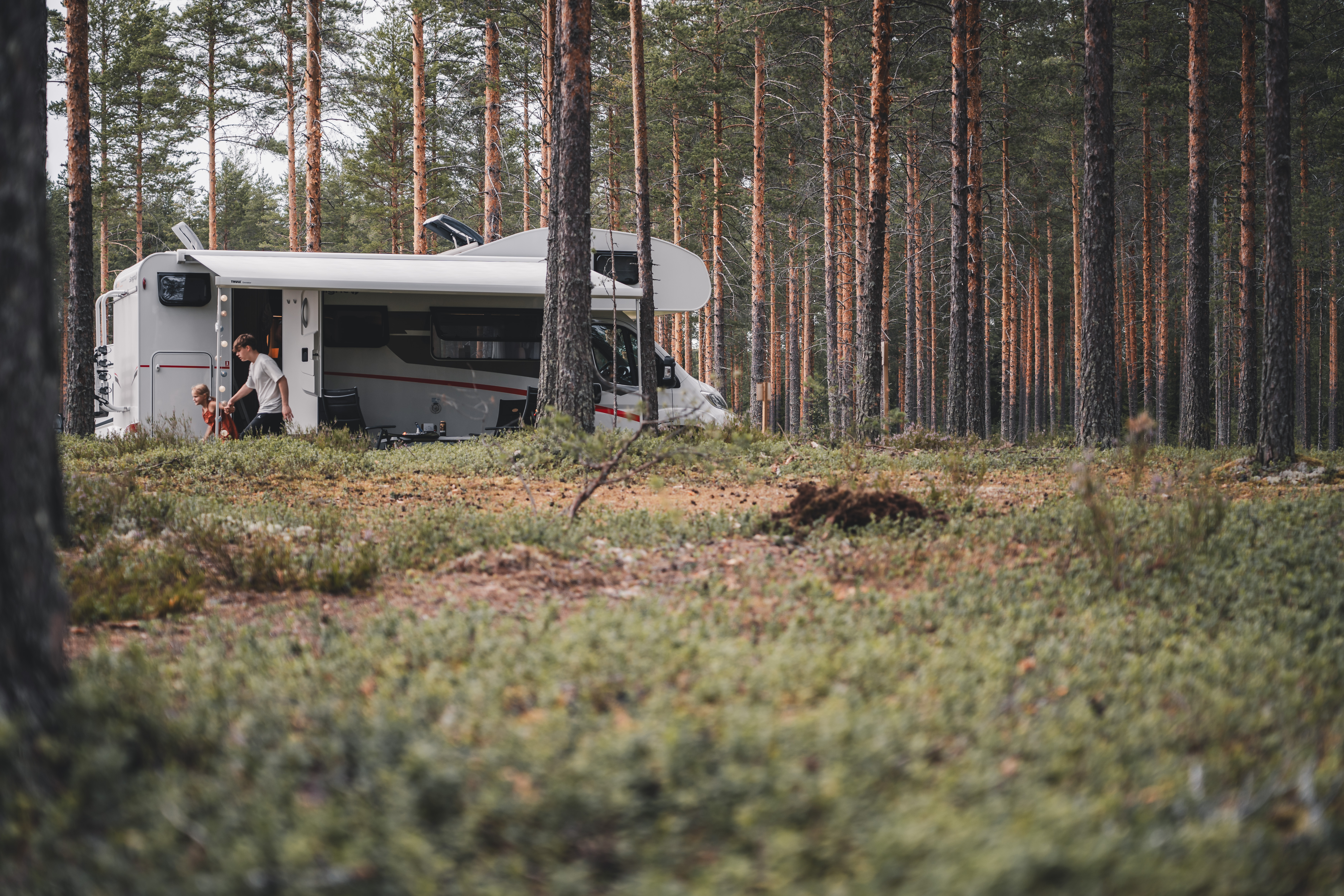 Wohnmobil in Finnland zwischen Bäumen