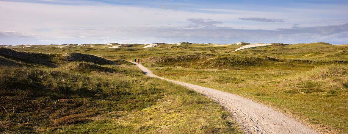 Nordseeküstenradweg und Co. – die besten Radtouren an der Nordsee