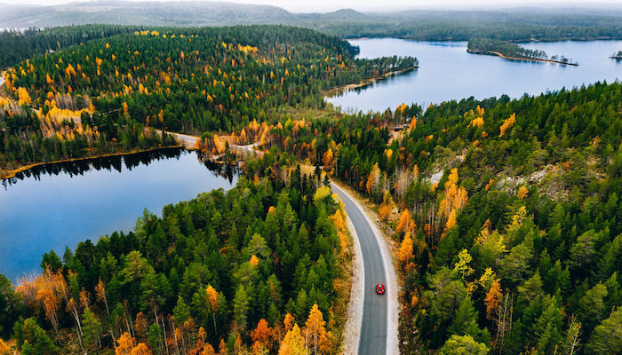 Camino rural en un bosque otoñal amarillo y naranja con un lago azul, Finlandia
