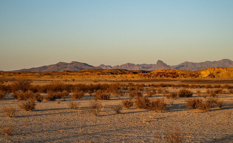 Wüstenlandschaft und Berge in Texas