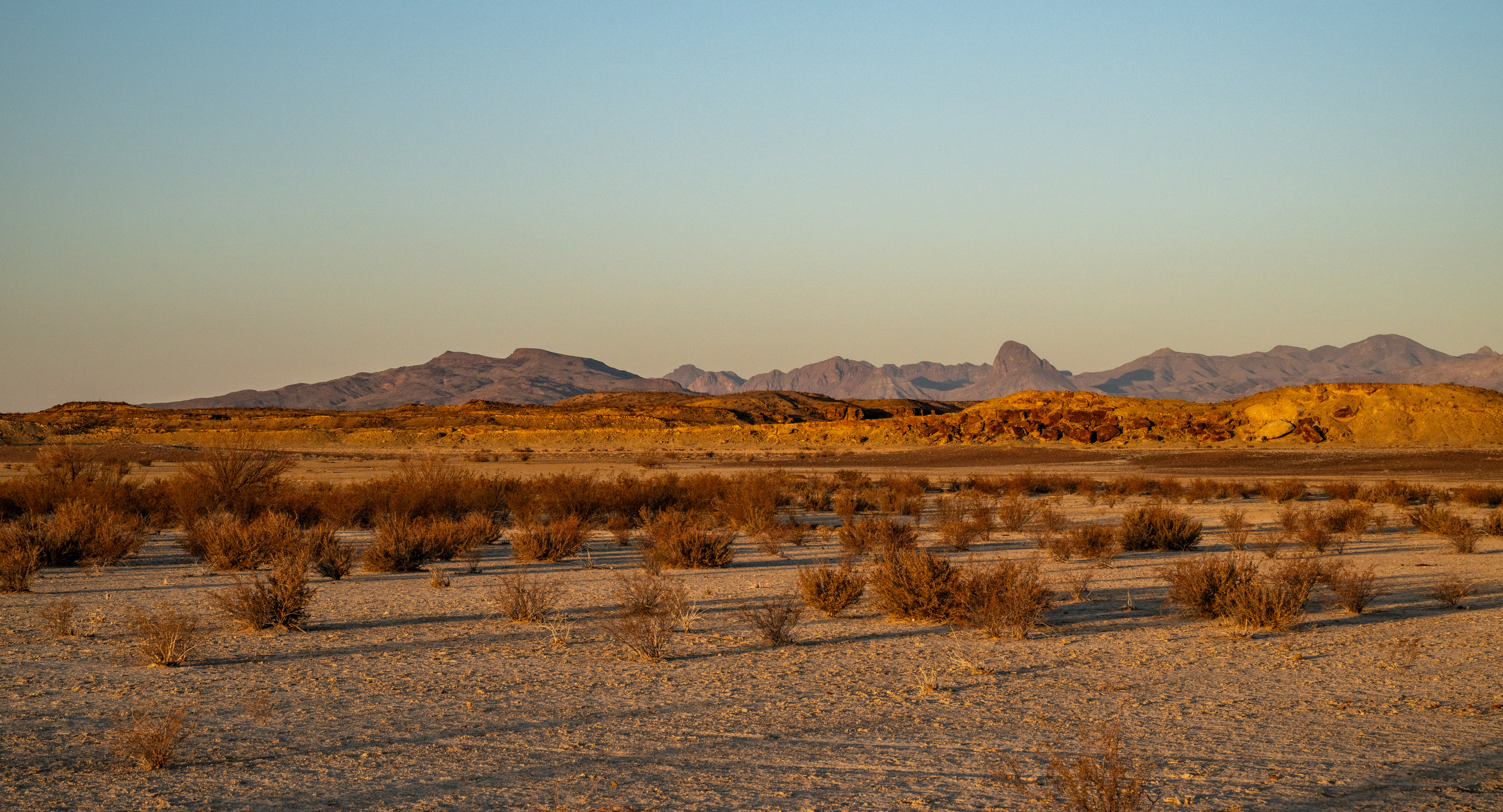 Wüstenlandschaft und Berge in Texas