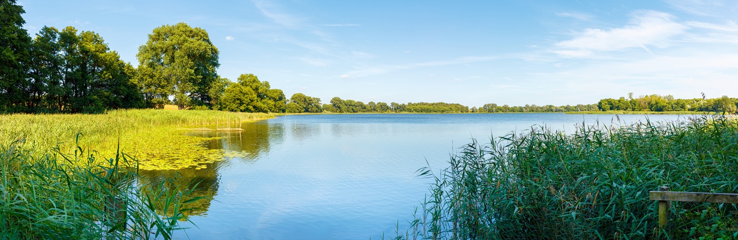 Das sind die 13 schönsten Campingplätze an der Ostsee und in Mecklenburg-Vorpommern