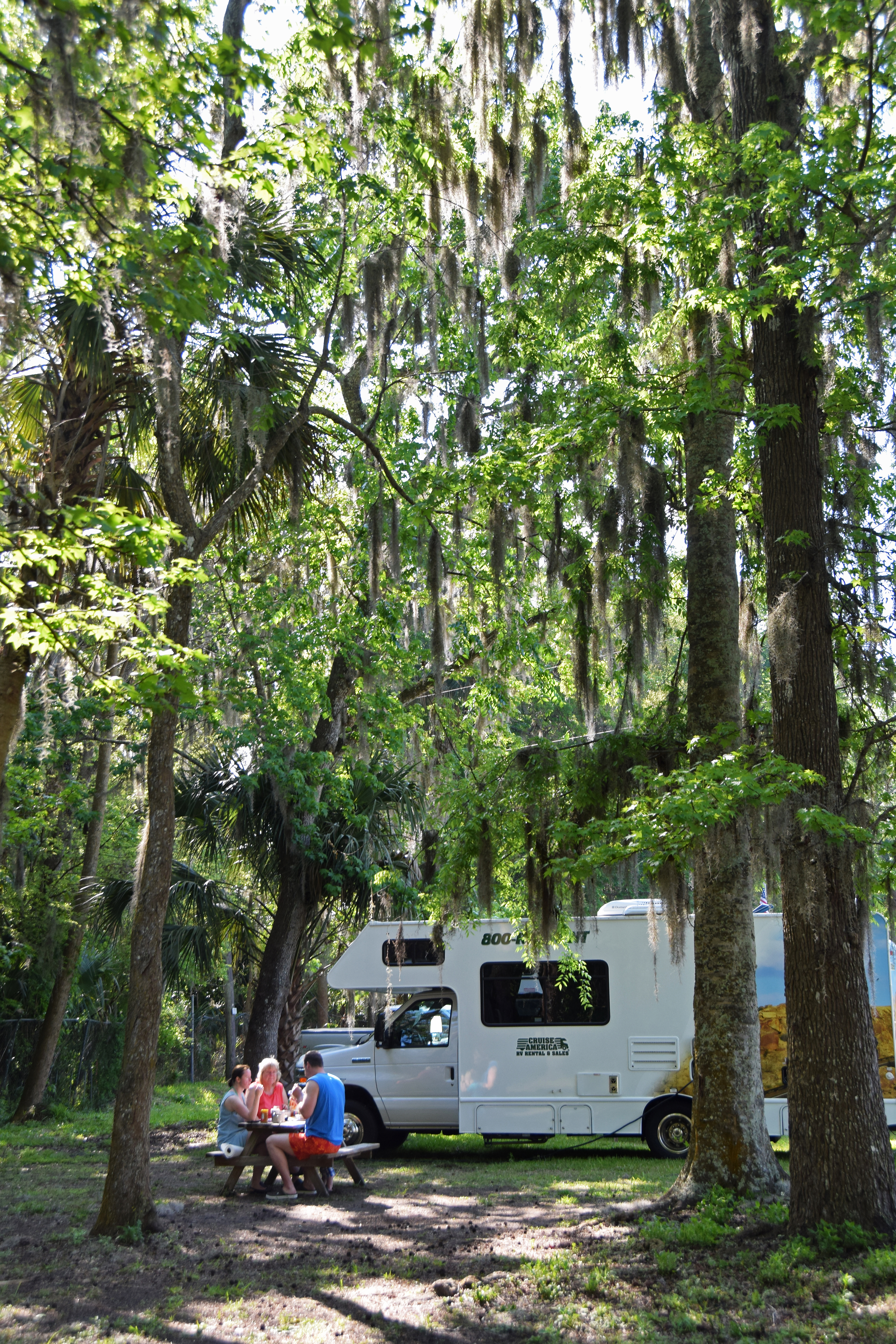 Wohnmobil im Grünen in Florida