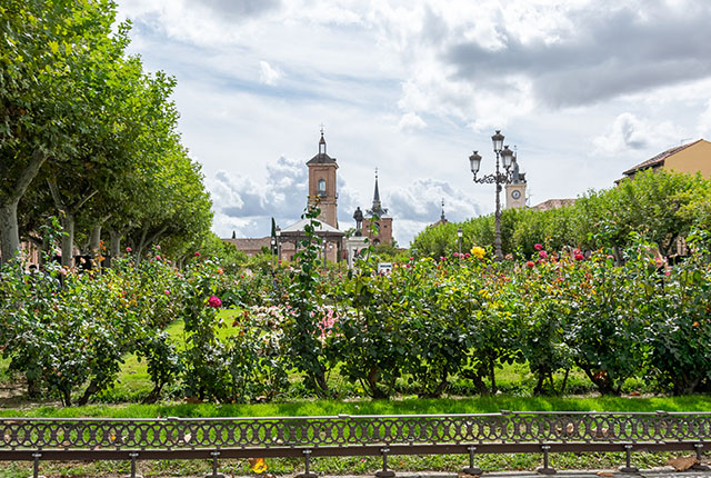 La Plaza Cervantes de Alcalá de Henares