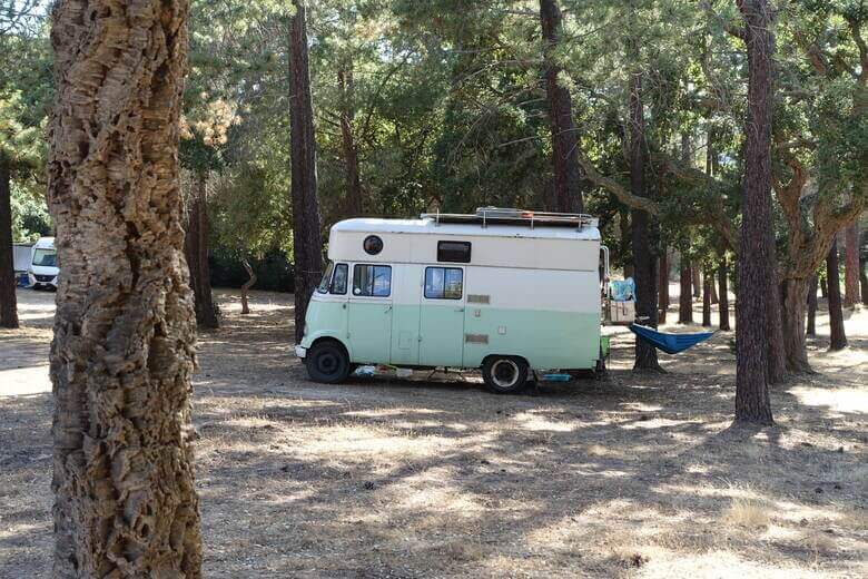 Bulli campt zwischen Bäumen auf der Insel Korsika