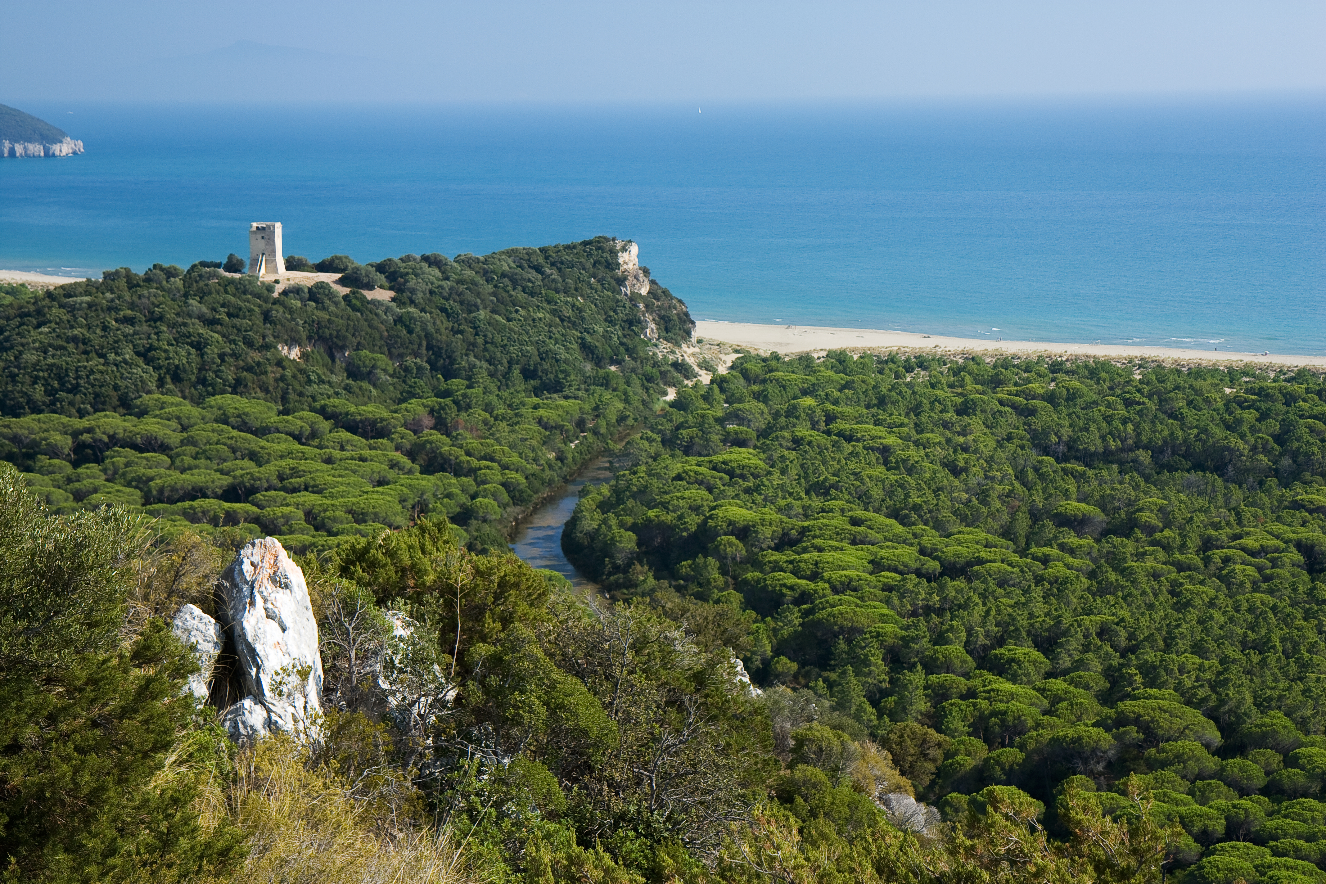 Spiaggia e alberi sulla costa della Maremma in Toscana