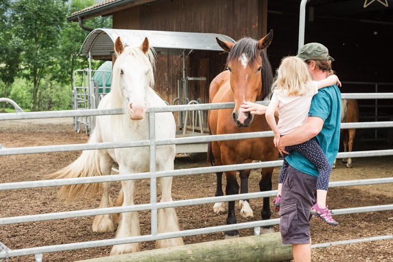 Kind streichelt ein Pferd auf dem Bauernhof