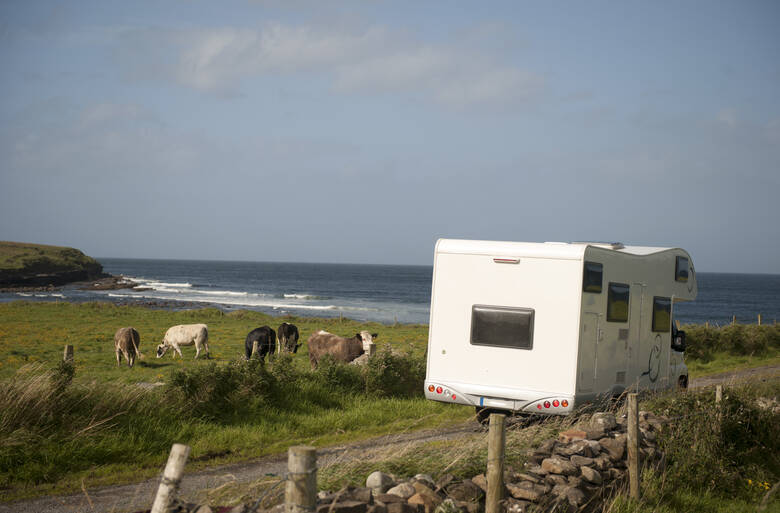 Wohnmobil und Kühe in Irland am Meer