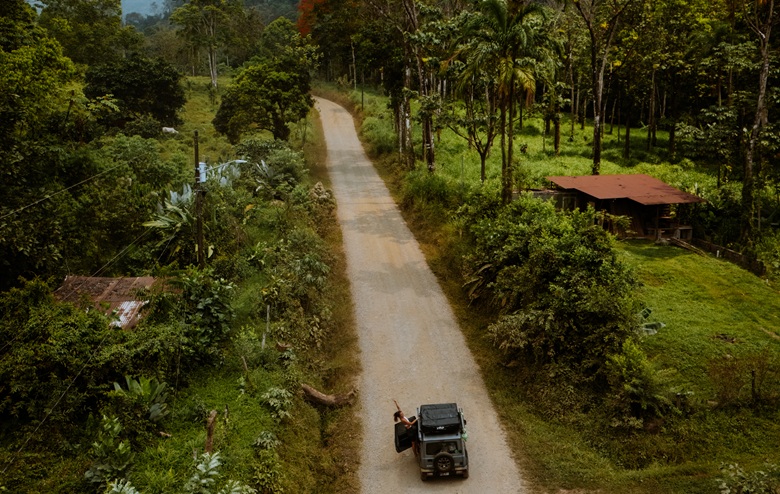 Frau fährt mit einem Camper über eine Straße in Costa Rica mit Palmen
