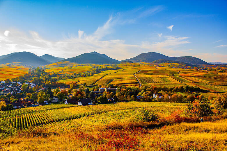 Die Kleine Kalmit in der Pfalz im Herbst
