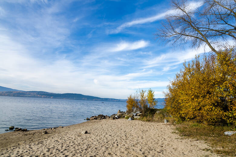 Ufer des Lipno-Stausees in Tschechien