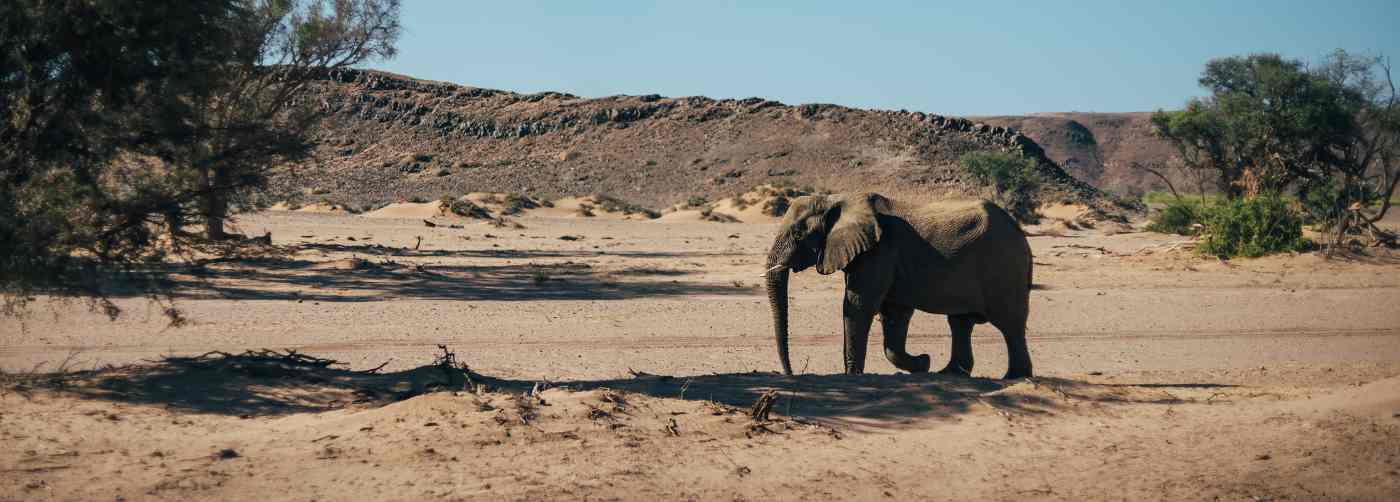 Fernweh trifft Herzenssache